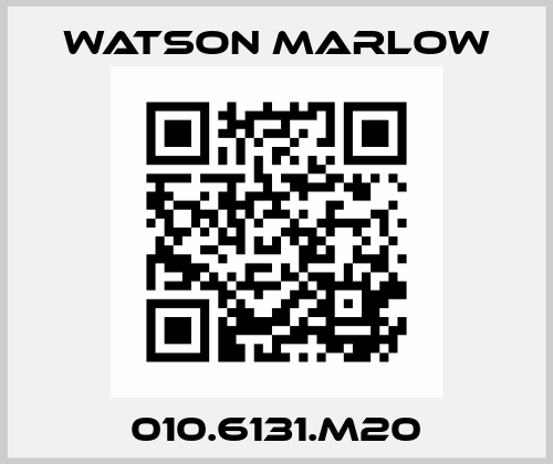 010.6131.M20 Watson Marlow