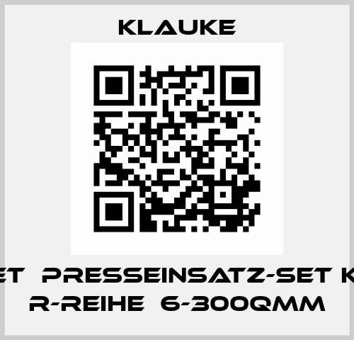 R22SET  PRESSEINSATZ-SET K22ER  R-REIHE  6-300QMM Klauke