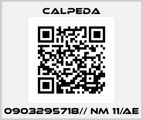 0903295718// NM 11/AE Calpeda
