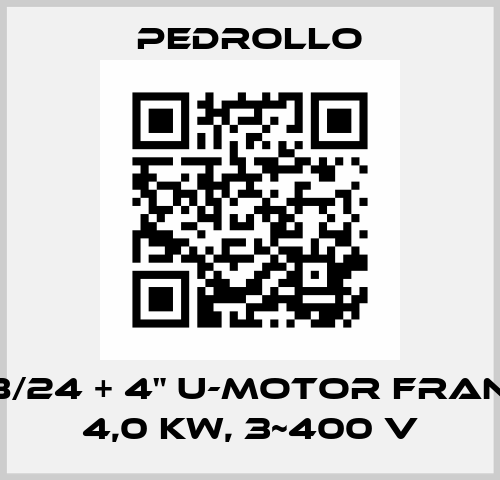 4SR8/24 + 4" U-Motor Franklin, 4,0 kW, 3~400 V Pedrollo