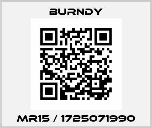 MR15 / 1725071990 Burndy