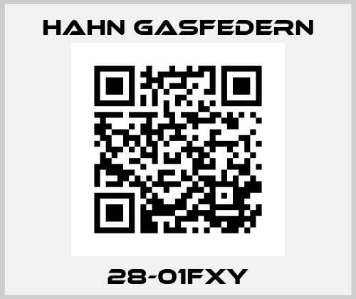 28-01FXY Hahn Gasfedern