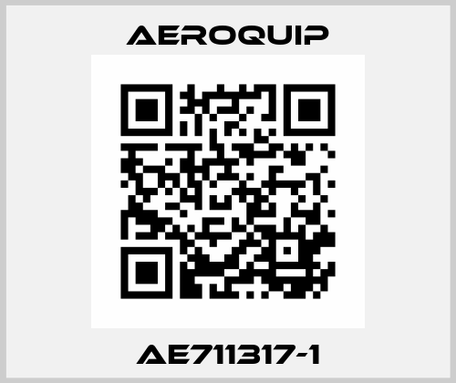 AE711317-1 Aeroquip