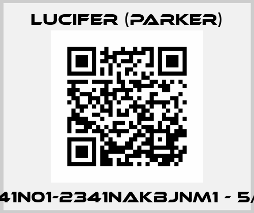 341N01-2341NAKBJNM1 - 5/2 Lucifer (Parker)