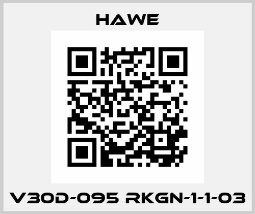 V30D-095 RKGN-1-1-03 Hawe
