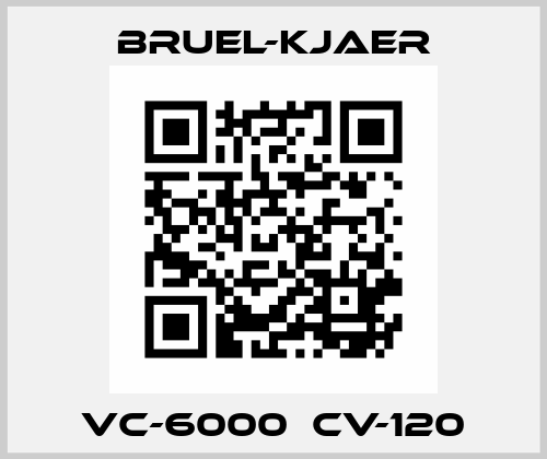 VC-6000  CV-120 Bruel-Kjaer