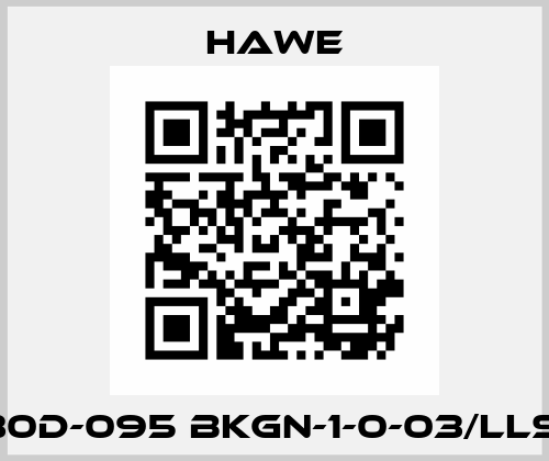 V30D-095 BKGN-1-0-03/LLS-2 Hawe