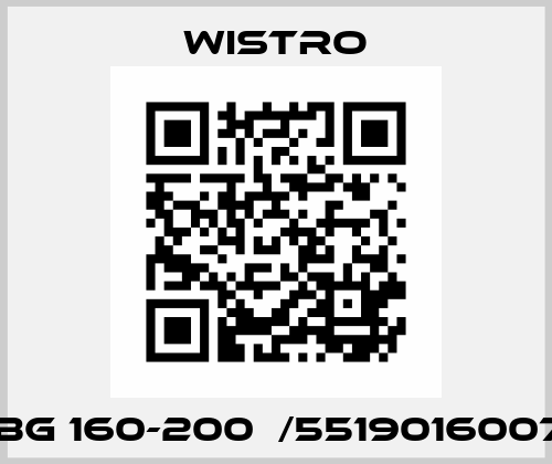 FLAI Bg 160-200  /55190160071002 Wistro