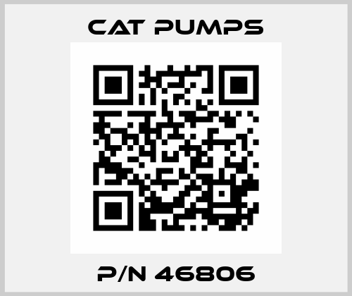 p/n 46806 Cat Pumps