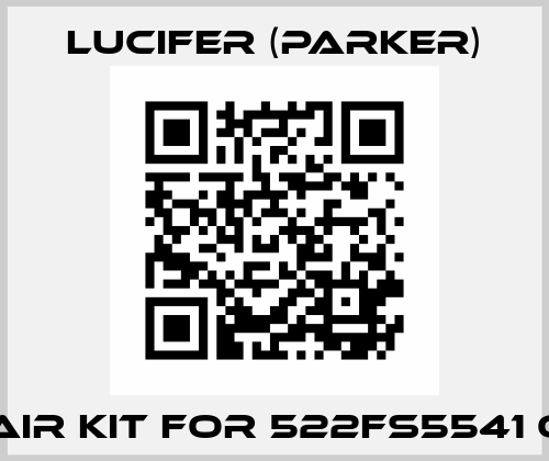 Repair kit for 522FS5541 OEM  Lucifer (Parker)