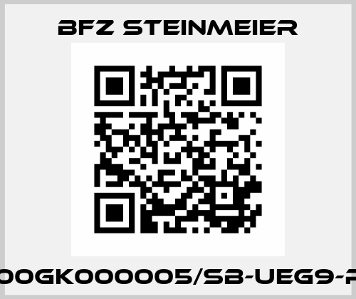 V00GK000005/SB-UEG9-PZ BFZ STEINMEIER