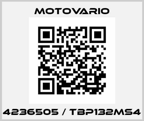 4236505 / TBP132MS4 Motovario