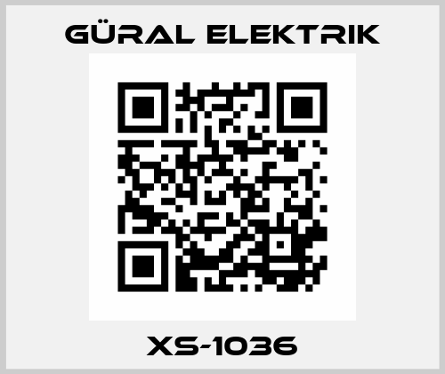 XS-1036 GÜRAL Elektrik