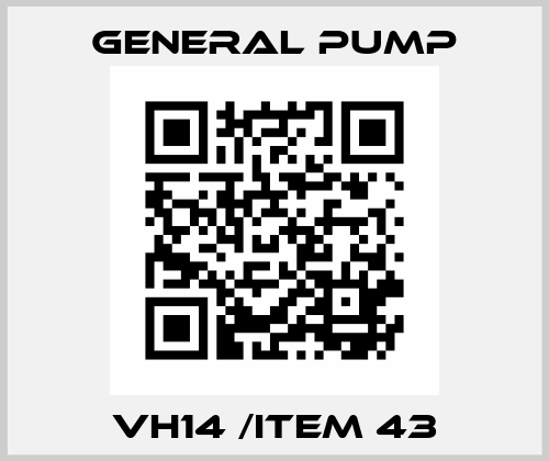 VH14 /item 43 General Pump