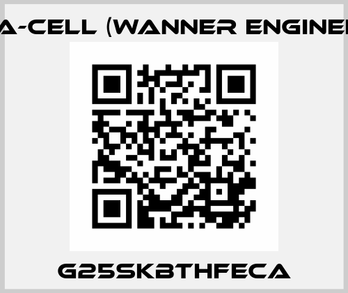 G25SKBTHFECA Hydra-Cell (Wanner Engineering)