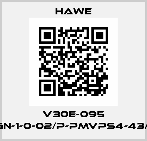 V30E-095 RKGN-1-0-02/P-PMVPS4-43/G12 Hawe