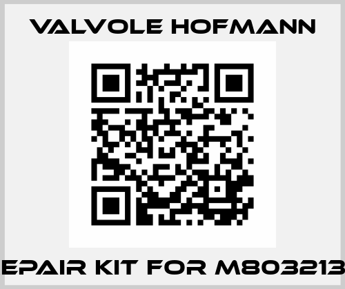 Repair kit for M803213C Valvole Hofmann
