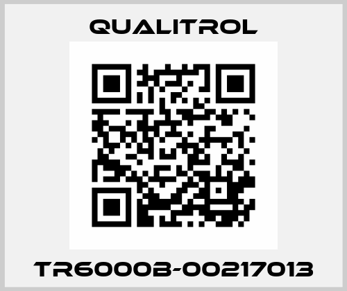 TR6000B-00217013 Qualitrol