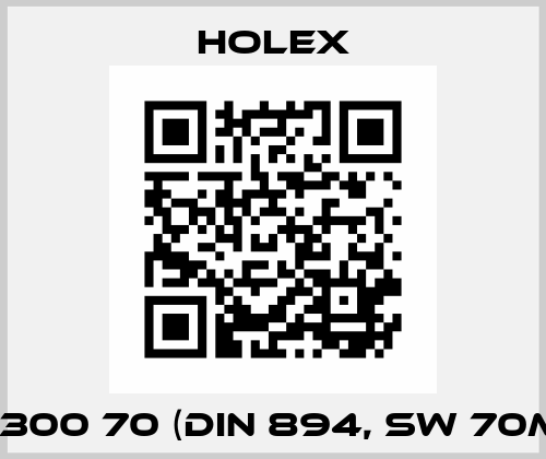 613300 70 (DIN 894, SW 70mm) Holex