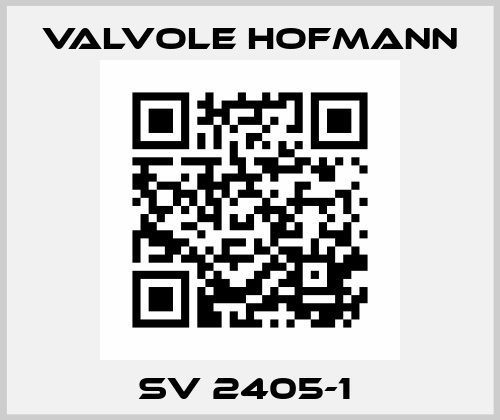 SV 2405-1  Valvole Hofmann