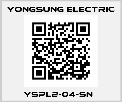YSPL2-04-SN   YONGSUNG