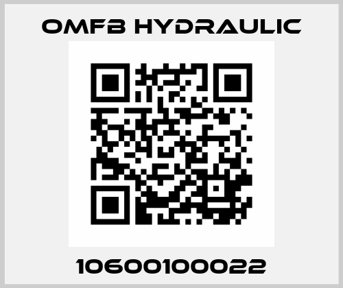 10600100022 OMFB Hydraulic