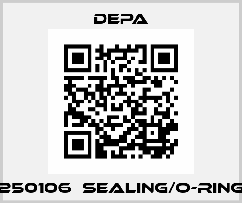 250106  Sealing/O-Ring Depa