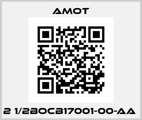 2 1/2BOCB17001-00-AA  Amot