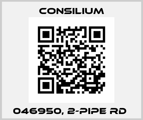046950, 2-PIPE RD  Consilium
