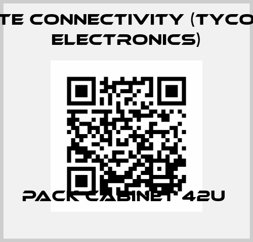 Pack Cabinet 42U  TE Connectivity (Tyco Electronics)