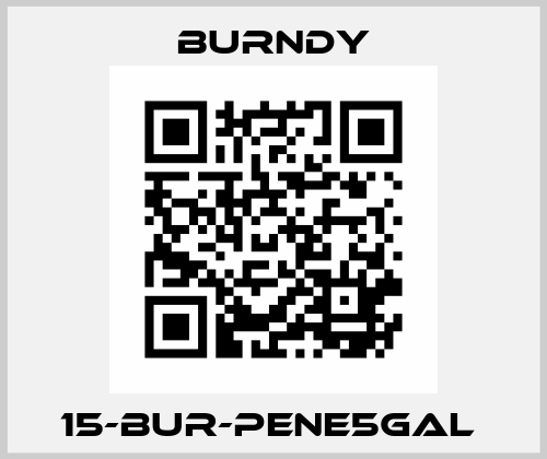 15-BUR-PENE5GAL  Burndy