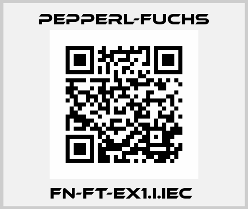 FN-FT-EX1.I.IEC  Pepperl-Fuchs