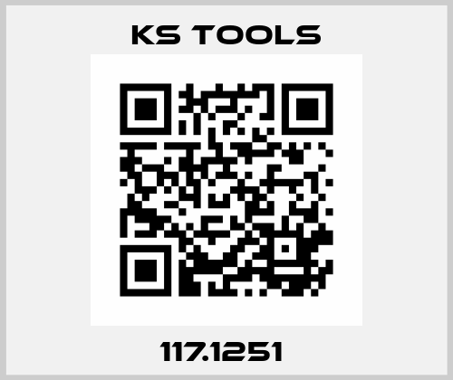117.1251  KS TOOLS