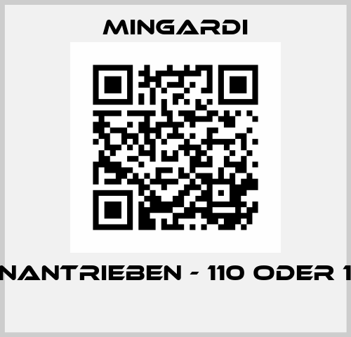 Kettenantrieben - 110 oder 120mm  Mingardi