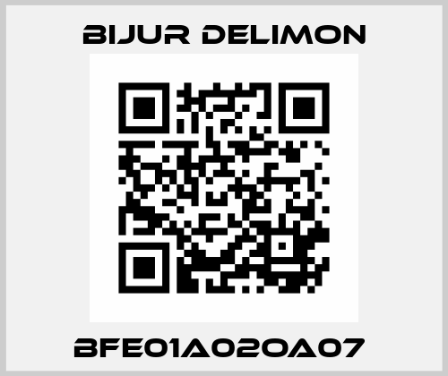 BFE01A02OA07  Bijur Delimon