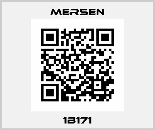 1B171 Mersen
