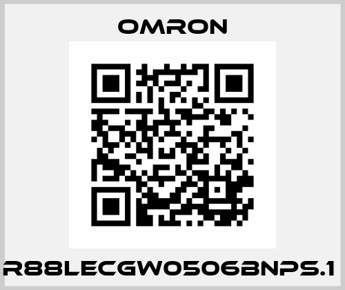 R88LECGW0506BNPS.1  Omron