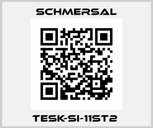 TESK-SI-11ST2  Schmersal