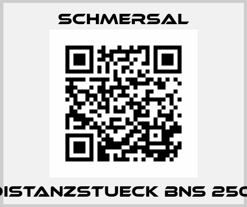 DISTANZSTUECK BNS 250  Schmersal