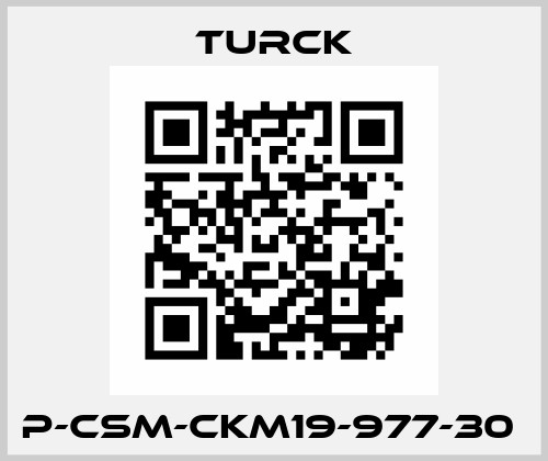 P-CSM-CKM19-977-30  Turck