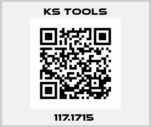 117.1715  KS TOOLS