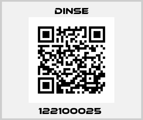 122100025  Dinse