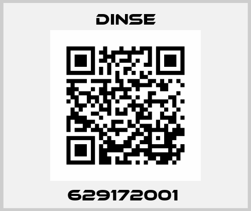 629172001  Dinse