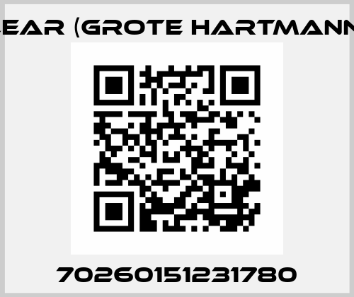 70260151231780 Grote Hartmann
